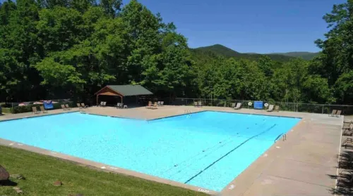 Chic Boho Cabin in the Trees!