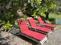 Luxury home on 400 Acre Ranch