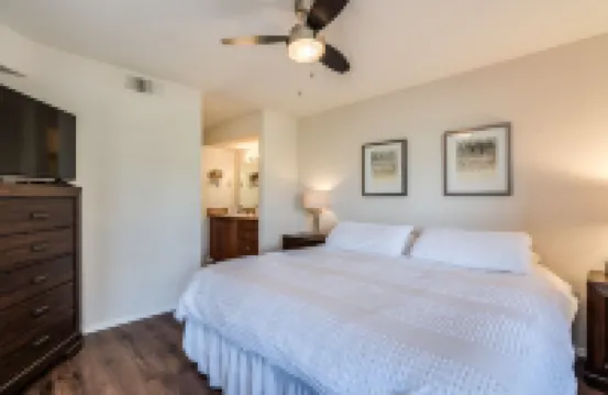 Luxury Ventana Canyon Condo