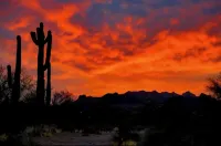 Perfect Chandler Getaway – Cozy Condo in the Heart of the East Valley!