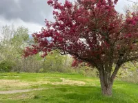spacious clean vacation unit near Bangor and on your way to Acadia National Park Hotels in Hampden