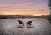 Stylish Morongo Valley Retreat. Pond/Waterfall Views All Around, Fenced for Dogs