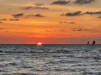 Contemporary Remodeled, minutes from beach! Hotels in Venice Gardens