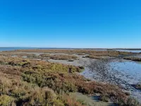 Mazet 50m2, Proche des Plages et du Village, Entouré D'espaces Verts