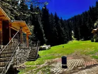 Hotel Green Valley Savsat Hotels in 