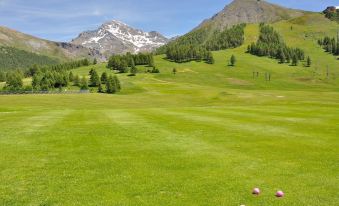 Studio Blue Petit - Happy Rentals