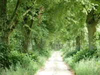 Herrenhaus Röddelin Hotels in Templin