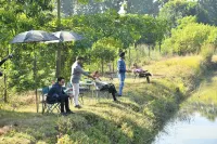 Aalia Jungle Retreat and Spa, Bandarjudh, Haridwar - Araiya Anthology