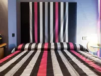 Hotel Aleramo Hotels in Asti