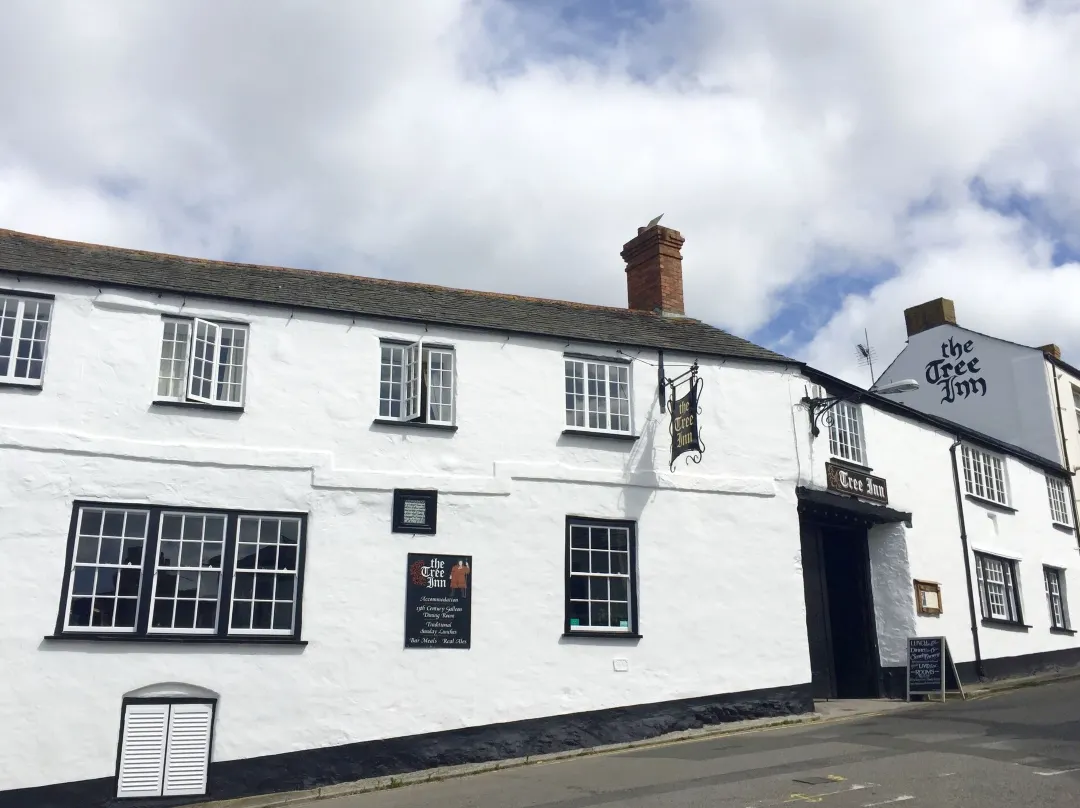 The Tree Inn - Bude