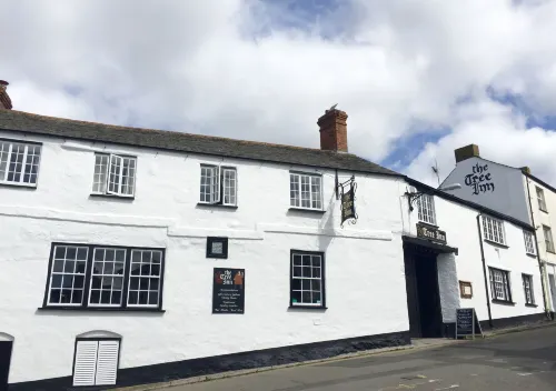 The Tree Inn Hotels in Marhamchurch