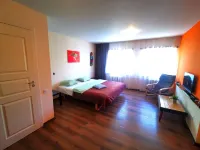 리버 아파트먼트 Klaipeda District Municipality 호텔