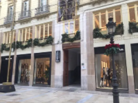 オスタル ラリオス マラガのホテル