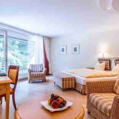 Waldhotel Bad Sulzburg Rooms