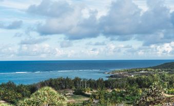 Le Marin Rodrigues Island