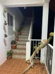 The Little One - Apartment 6 in Villa Coconut