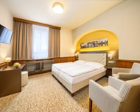 Hotel Zlatá hvězda Hotels in Trebon