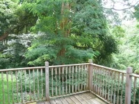 PRISTINE CAPE COD ON THE CREEK! 4 Large Bedrooms - 8 Guests