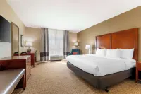 Comfort Inn & Suites Tavares North Hotels in Eustis