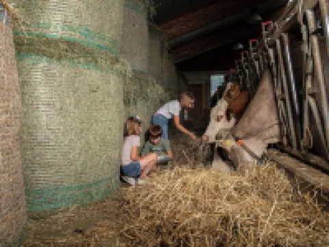 アグリツーリズモ リニ ボルミオのホテル