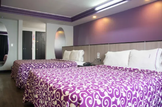 Hotel Max Hotels in 