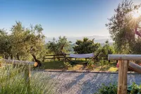 Tuscan Fizz Villa a Vineyards Retreat -  case vacanza in affitto