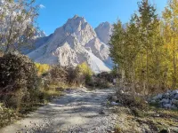 Passu Woodland Resort Hotels in Hunza