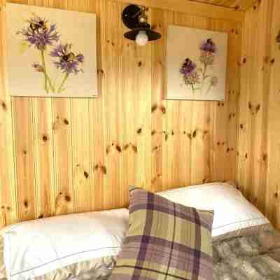 Woodhead Shepherds Hut - Sleeps 2 - Parking Rooms