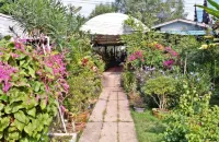 Baan Bon Homestay Amphawa Các khách sạn ở 