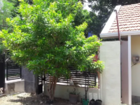 魯尼洛加酒店 鄰近St.Odilia Catholic Church的酒店