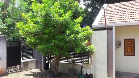 Roo Neeroga Отели рядом с достопримечательностью «Marawila Beach»