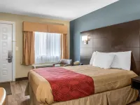 Econo Lodge Freeport - Brunswick Area Hotels in Freeport