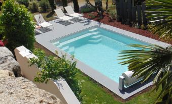Chambres d'Hotes les Palmiers