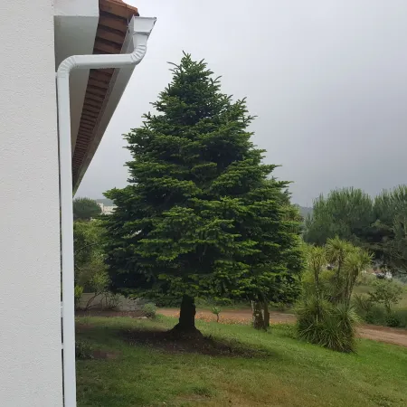 Sintra Rural Home - Cerrado da Serra