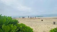 Ziegler Cottage - Ocean View