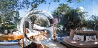 Bubble Lodge Bois Chéri Plantation - 民泊