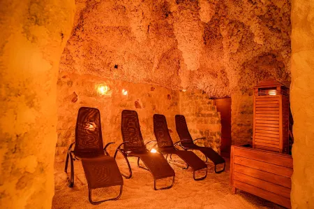 Ensana Pro Patria Отели в г. Пьештяны