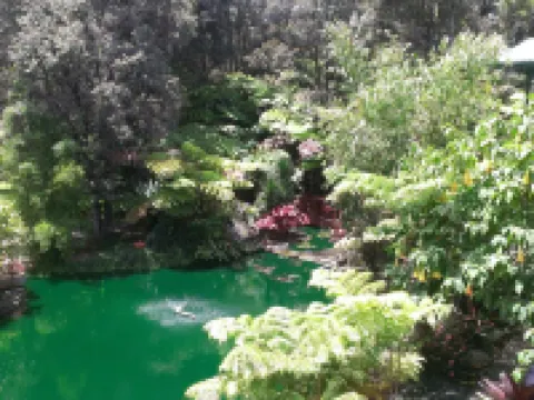 シャレー キラウエア ボルケーノのホテル