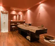 Grand Forest Metsovo - Leading Hotels of the World - spa