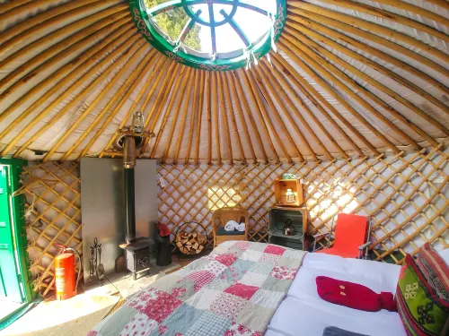 Bamff Ecotourism - Pet friendly