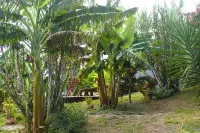 kann Zananas Hotels near Pointe du Piton