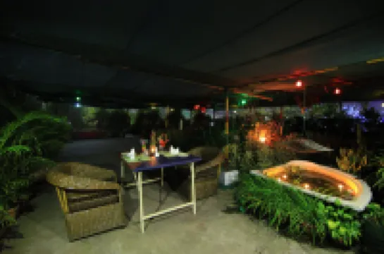 Dynasty Hotel Hotels in 