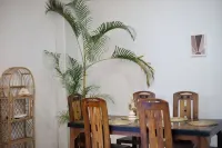 Amlou surf house