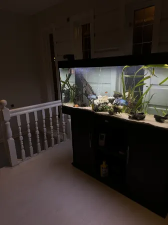 Just Like Home Bed & Spa