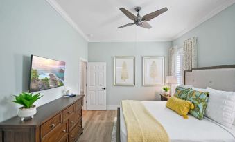 2 Steps to Ice Plant Downtown St Aug Beach Club