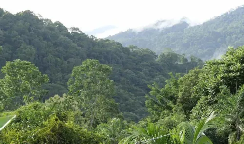 Pura Natura Lodge Arroyo Hotels in Copey