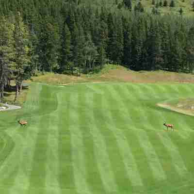Chateau Elise Fitness & Recreational Facilities