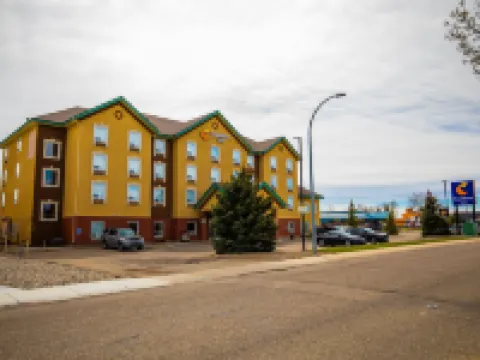 舒適酒店 萊斯布里奇酒店