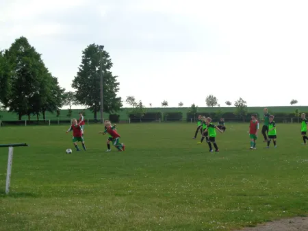 Hotel Apartment Puell Отели в г. Бёрде