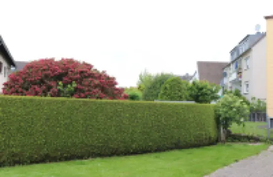 華麗公寓科隆城市展覽中心附近酒店